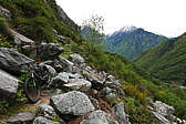 p1120305.jpg