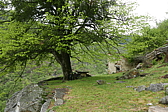 p1120306.jpg