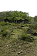 p1120309.jpg