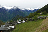 p1120311.jpg