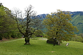 p1120314.jpg