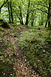 p1120318.jpg