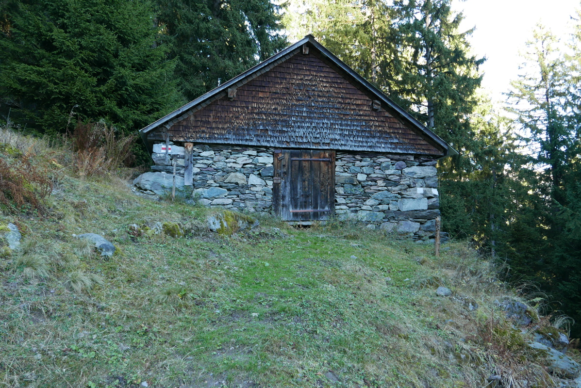 p1130992.jpg