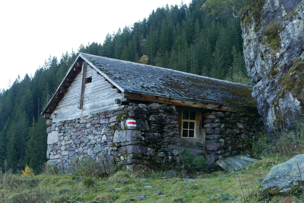 p1130995.jpg