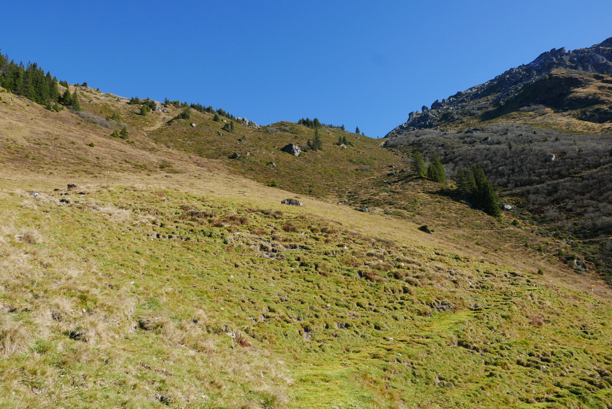 p1140015.jpg