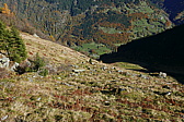 p1130998.jpg