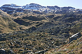 p1140006.jpg