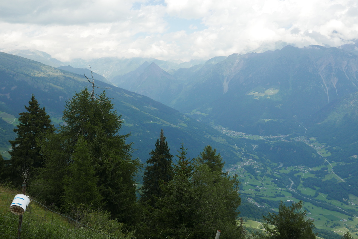 p1120837.jpg
