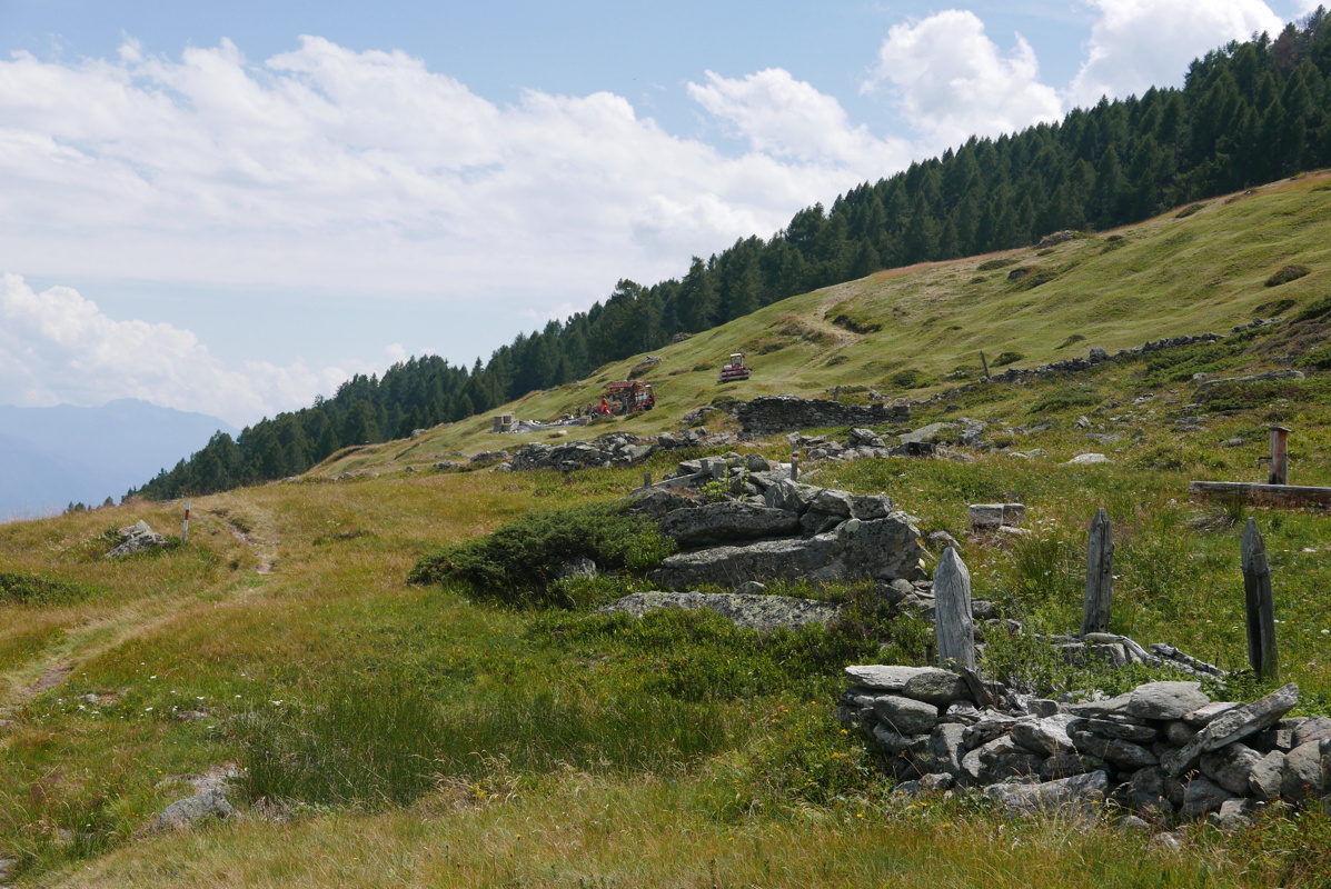 p1120852.jpg