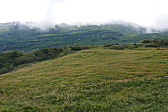 p1120838.jpg
