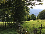 img_1036.jpg