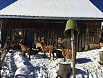 img_0432.jpg