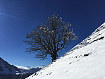 img_0439.jpg
