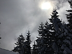 img_0445.jpg