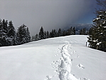 img_0446.jpg