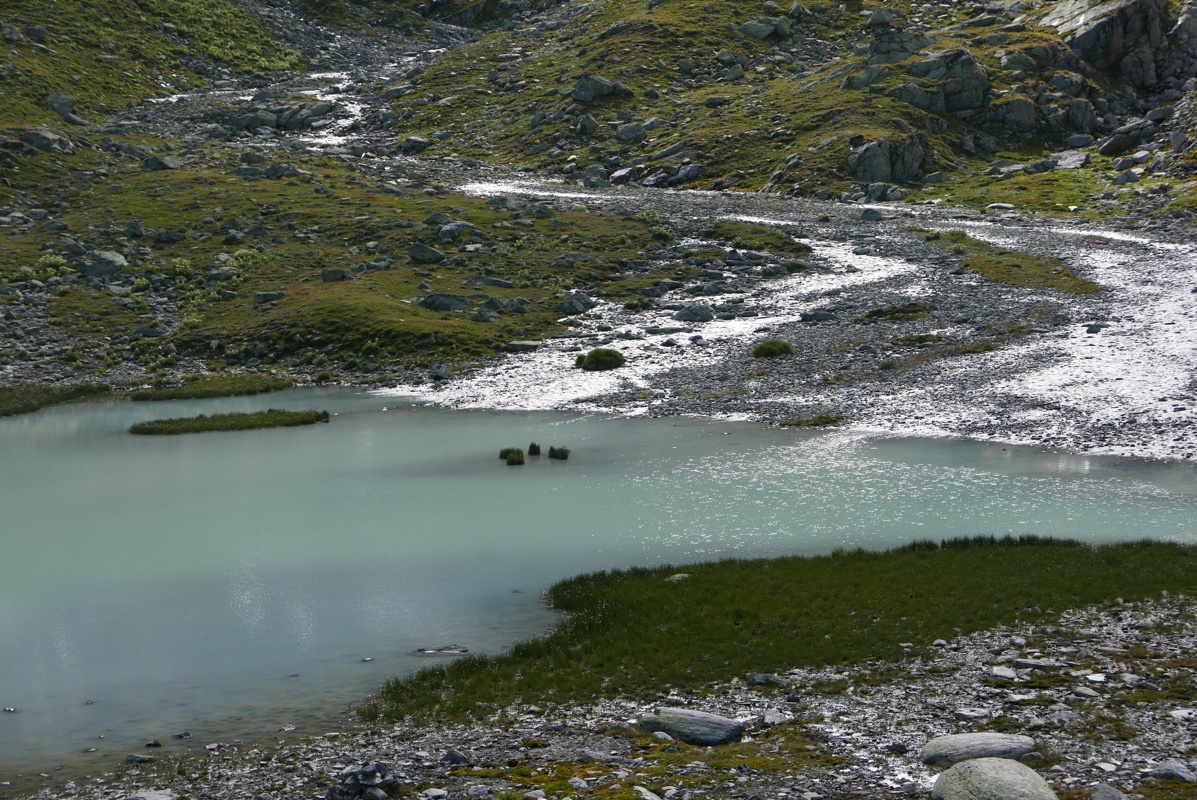 p1120891.jpg