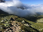 img_0931.jpg