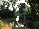 img_0874.jpg