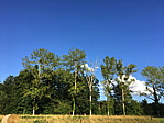 img_0881.jpg