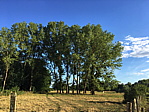 img_0882.jpg