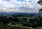 Thurgau II