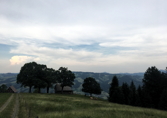 Thurgau IV