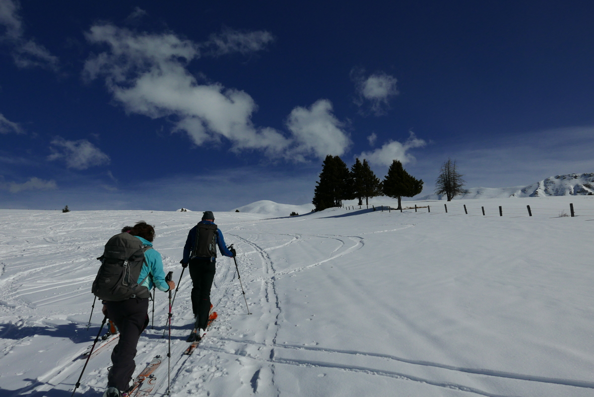 p1110661.jpg