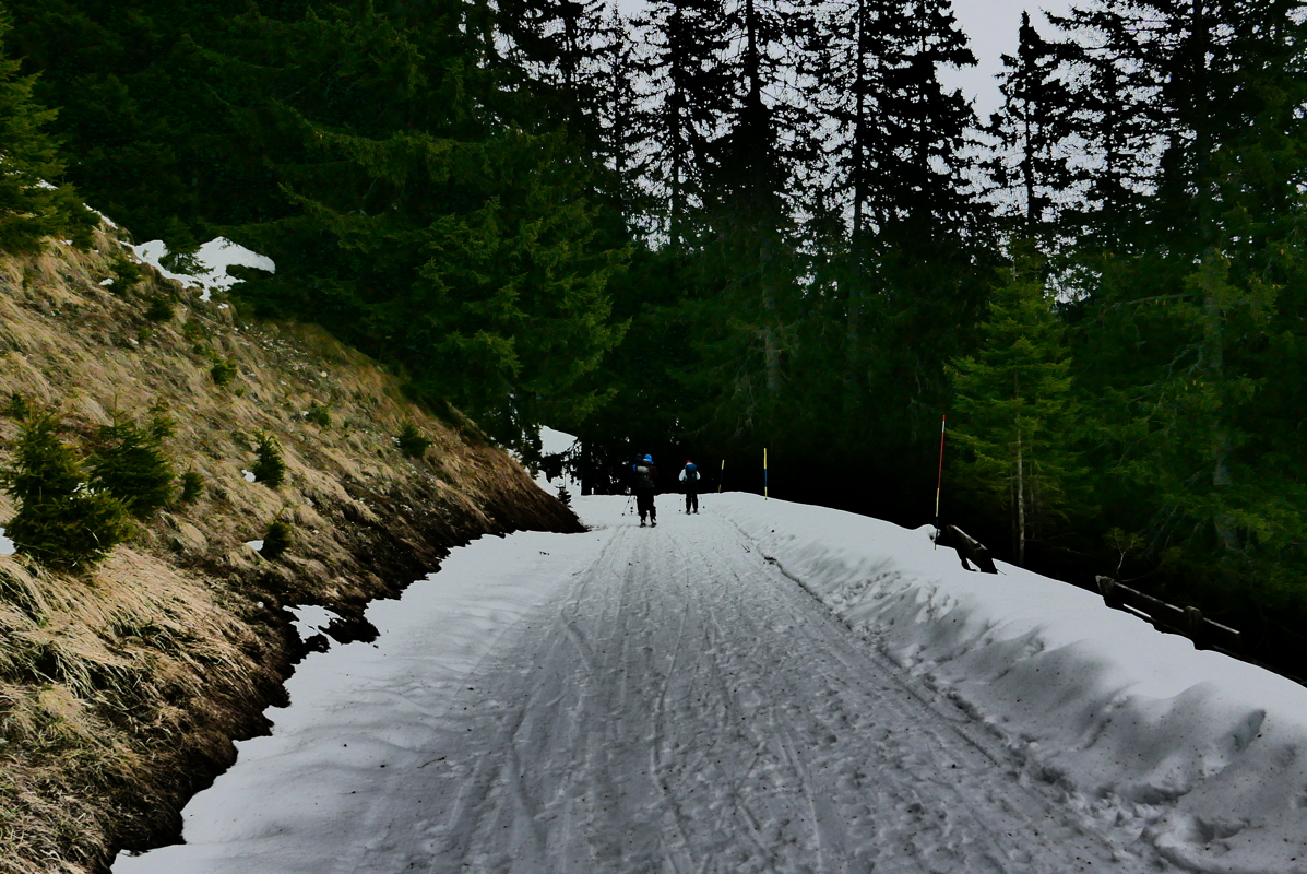 p1110687.jpg