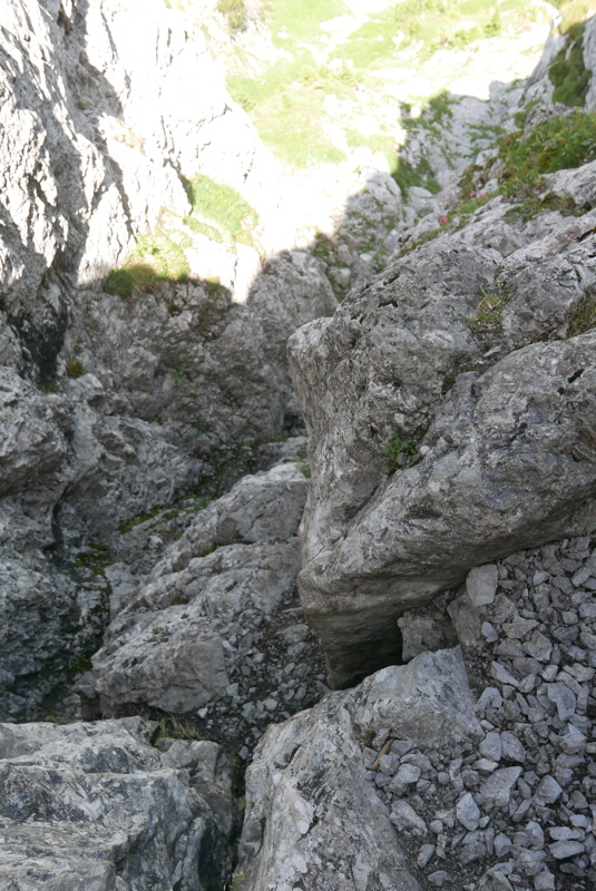 p1120825.jpg