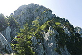 p1120805.jpg