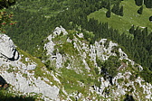 p1120813.jpg