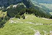 p1120833.jpg