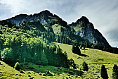 p1120835.jpg