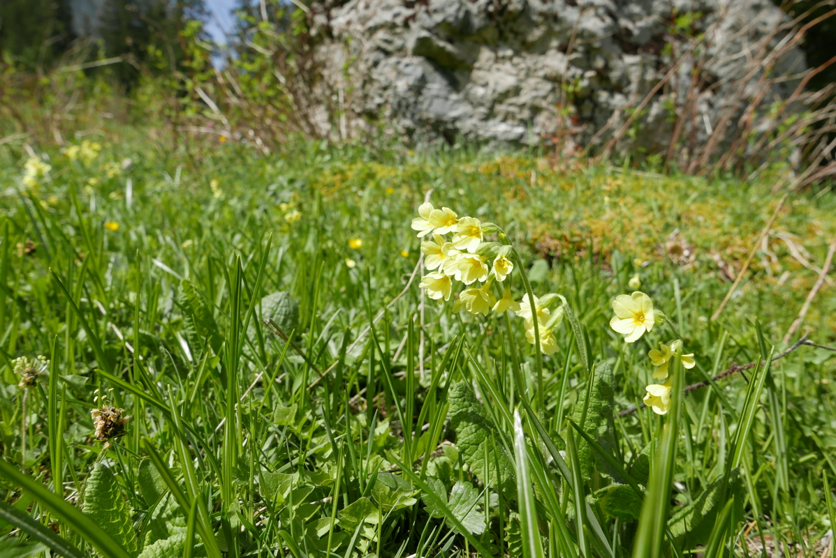 p1120401.jpg