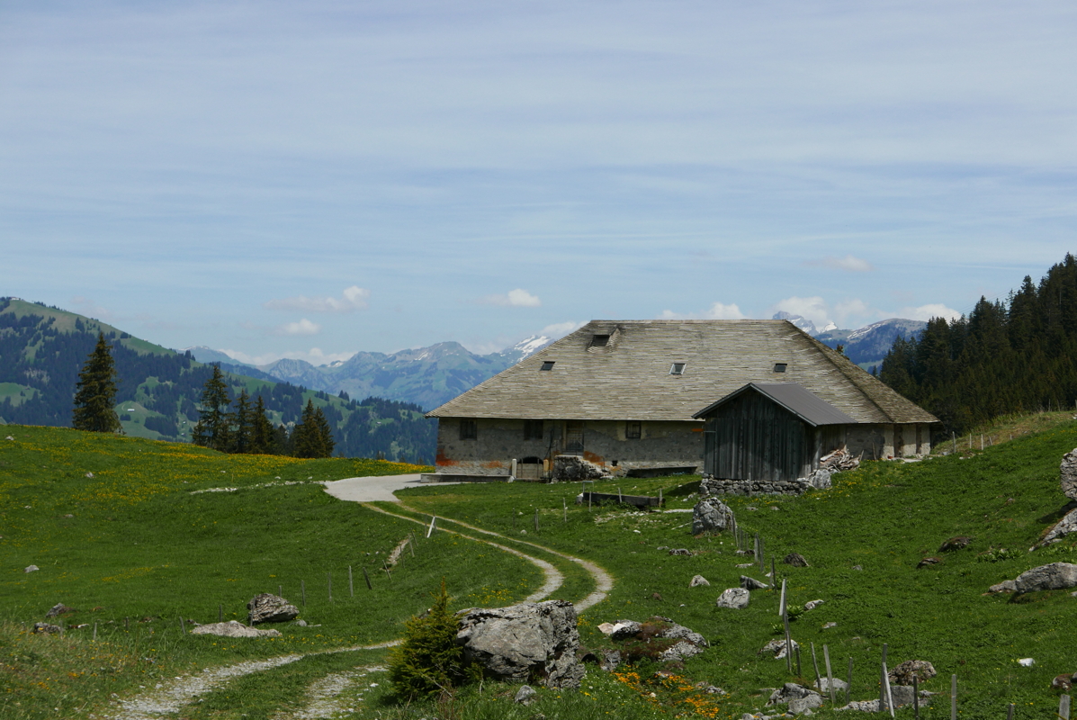 p1120417.jpg