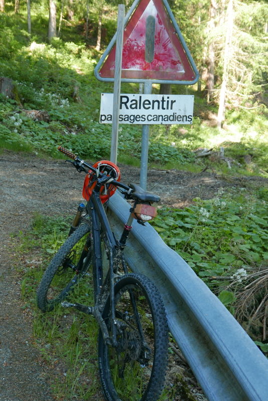 p1120432.jpg