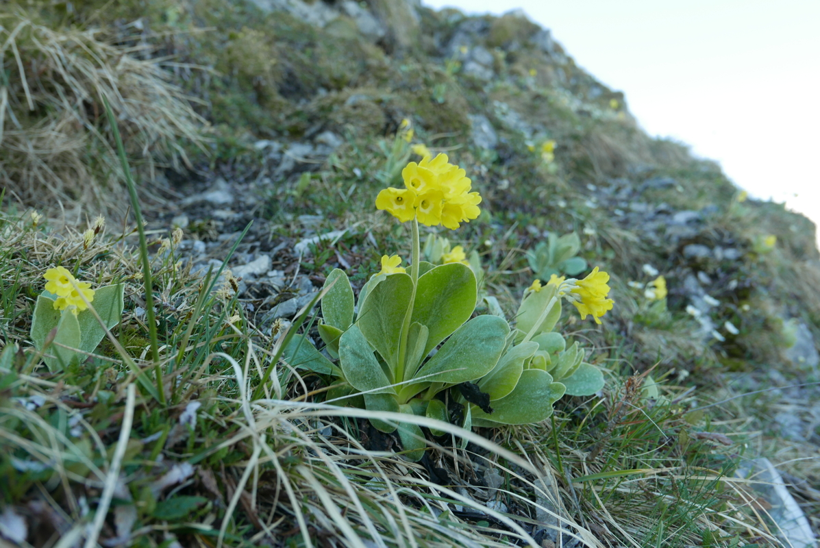 p1120439.jpg