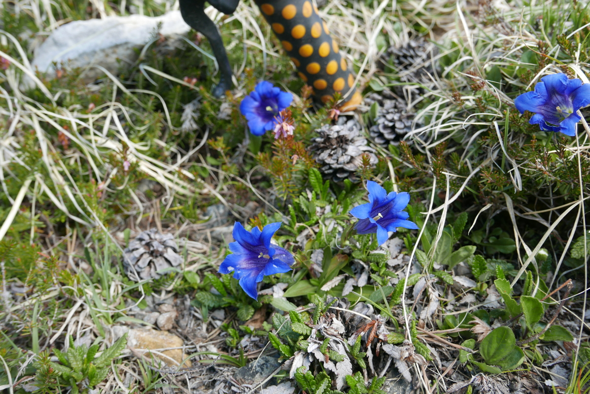 p1120446.jpg