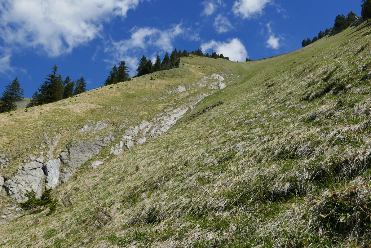 p1120473.jpg