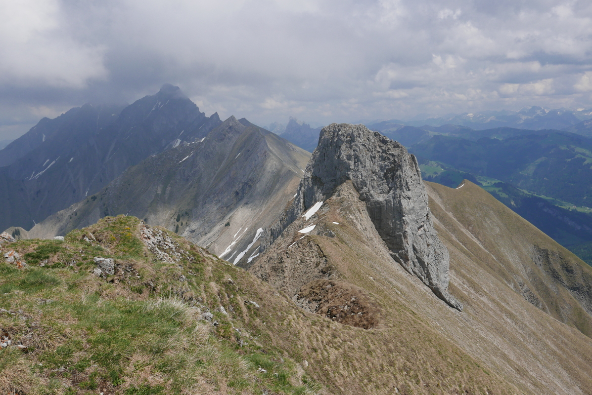 p1120487.jpg