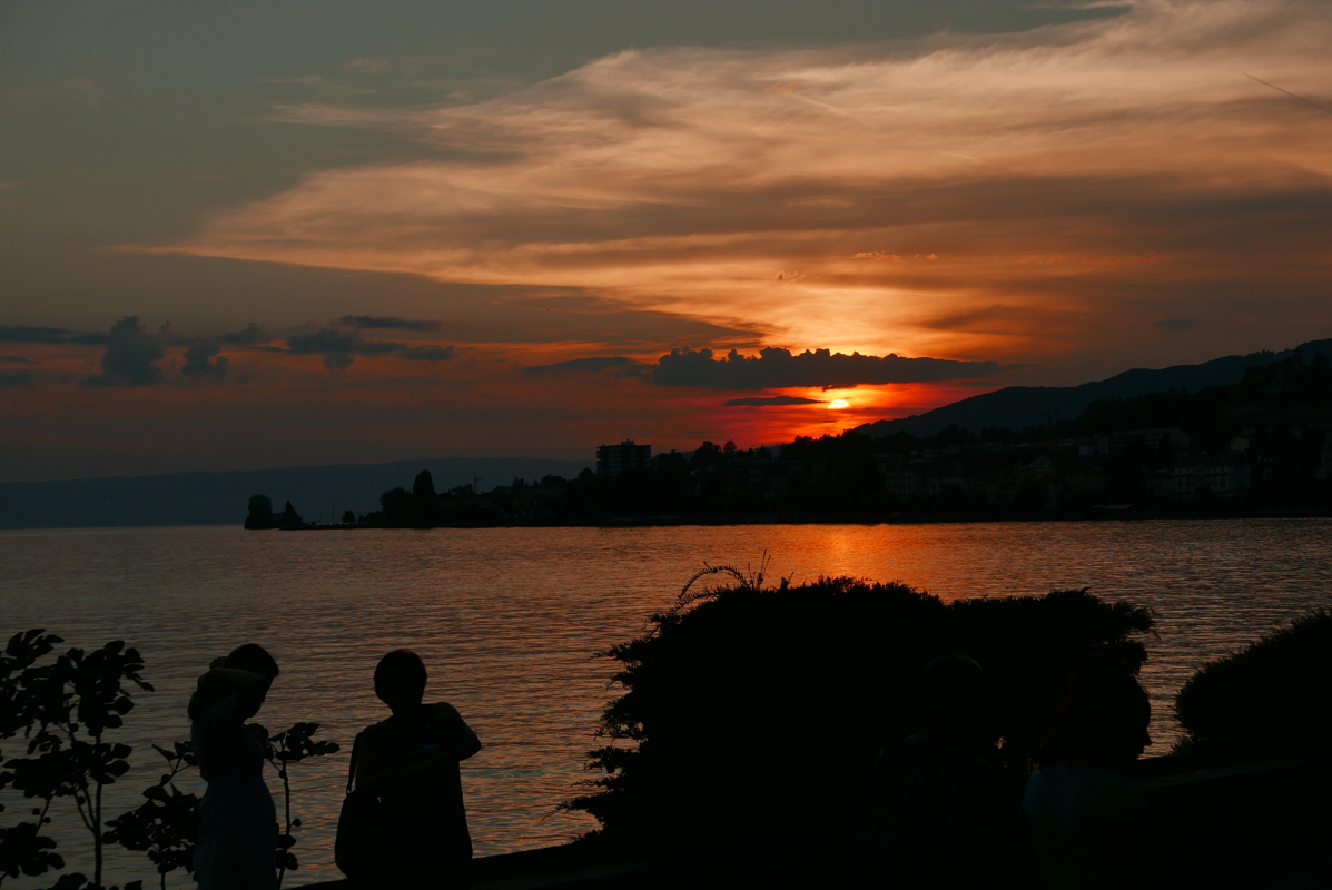 p1120511.jpg