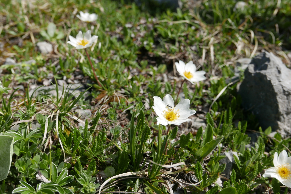 p1120522.jpg