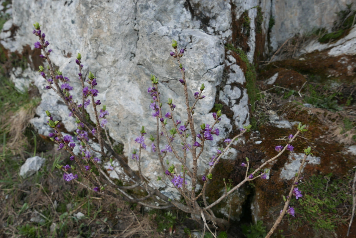 p1120526.jpg