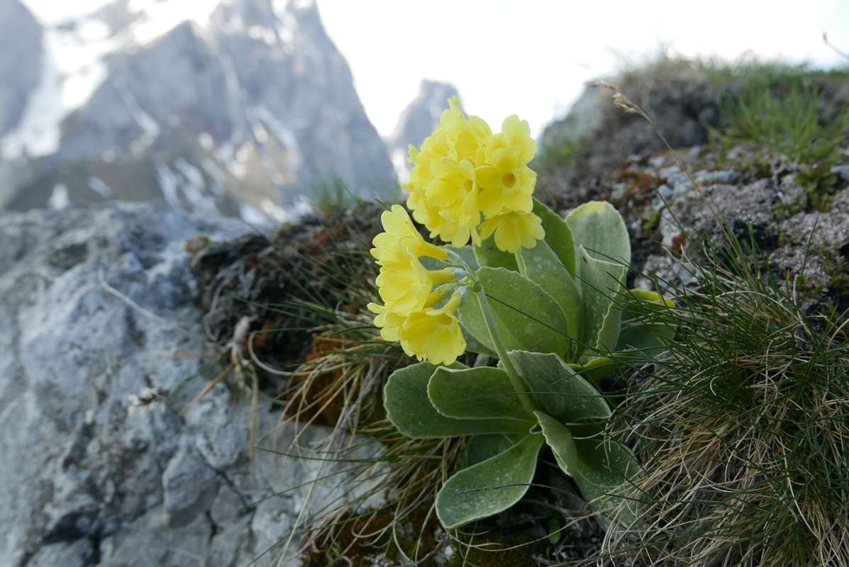 p1120530.jpg