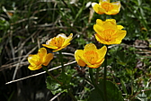 p1120419.jpg