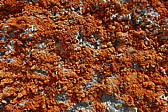 p1120424.jpg