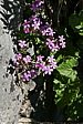p1120468.jpg
