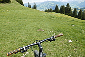 p1120540.jpg