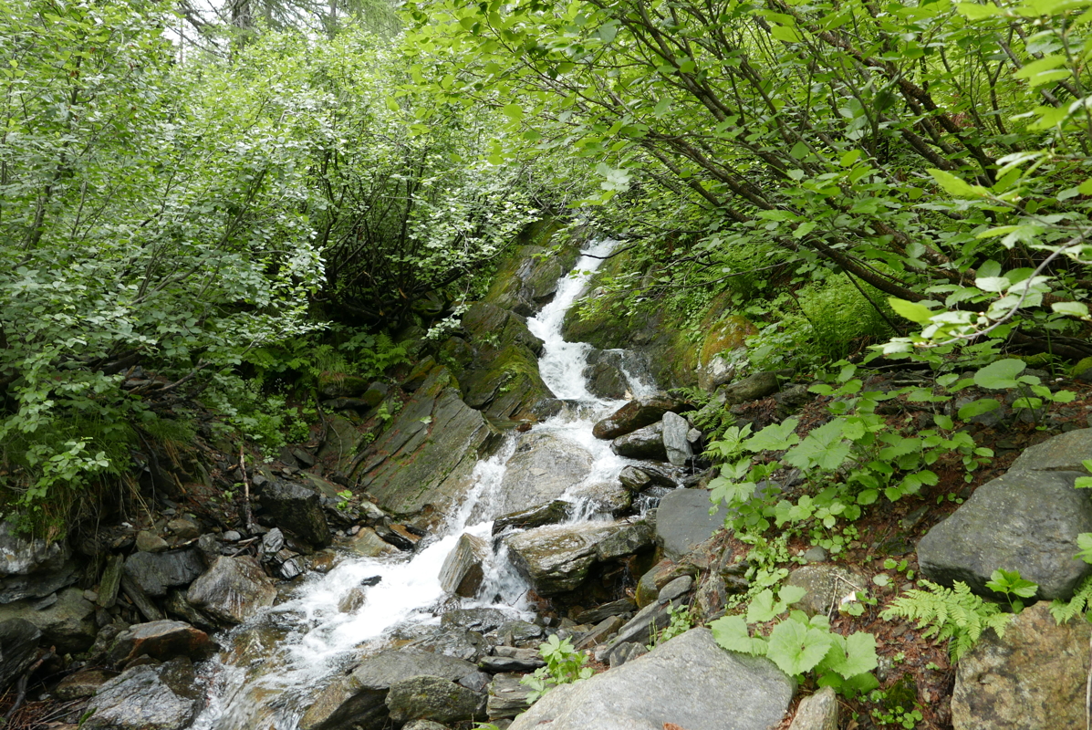p1120703.jpg