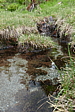 p1120734.jpg